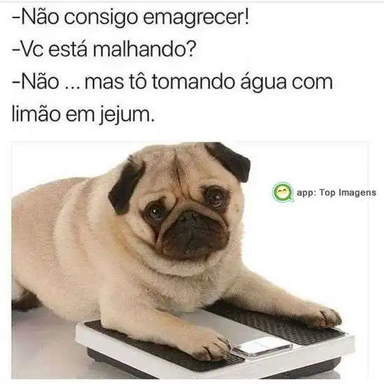 Não consigo emagrecer