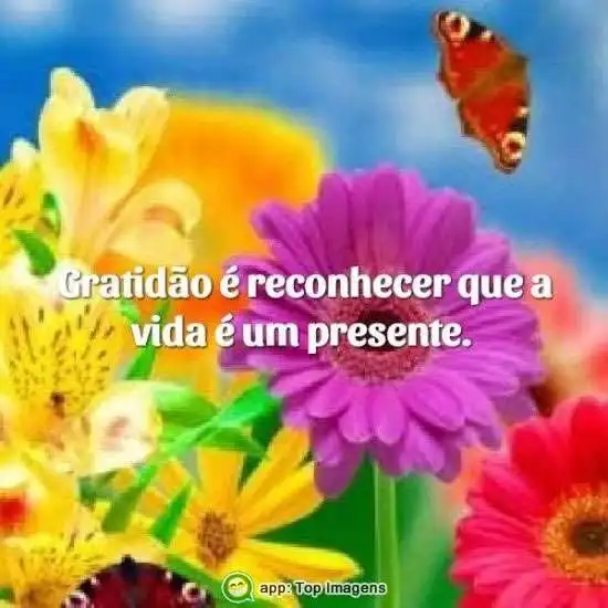 A vida é um presente