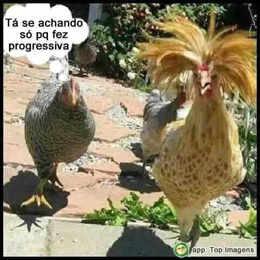 Amiga com progressiva