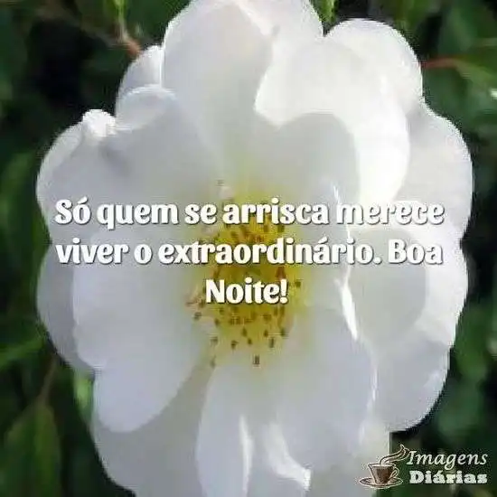 Boa noite
