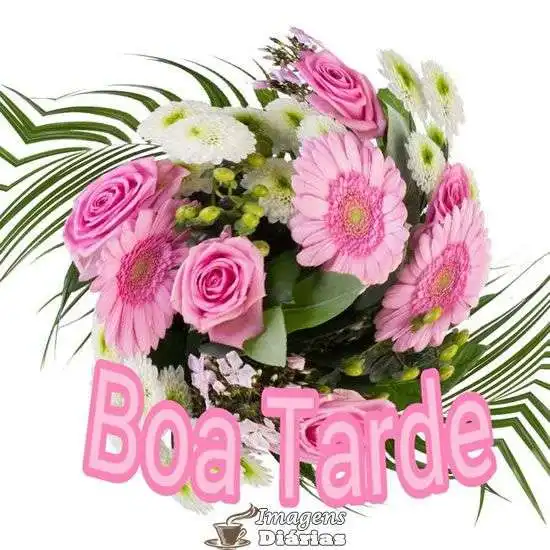Boa tarde
