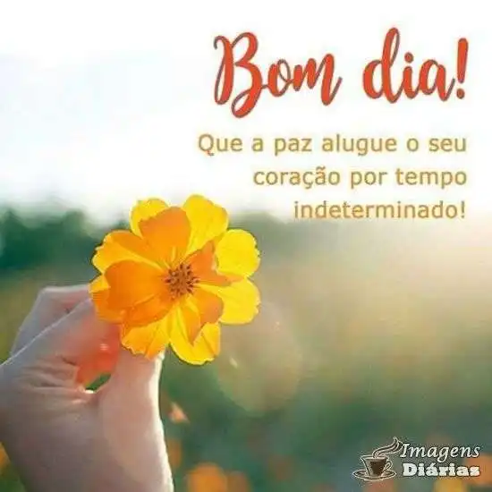 Bom dia
