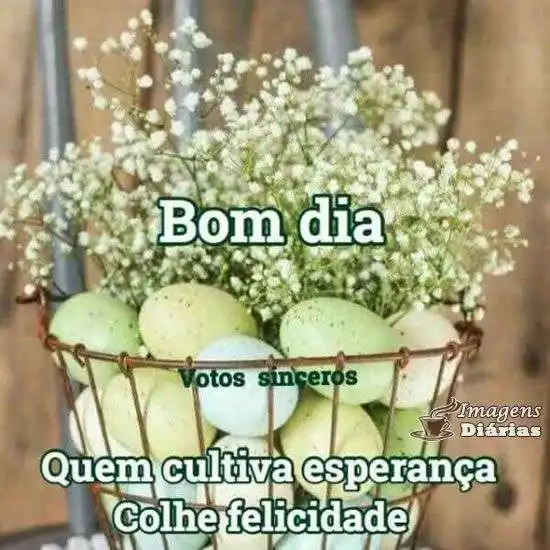 Bom dia