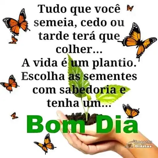 Bom dia