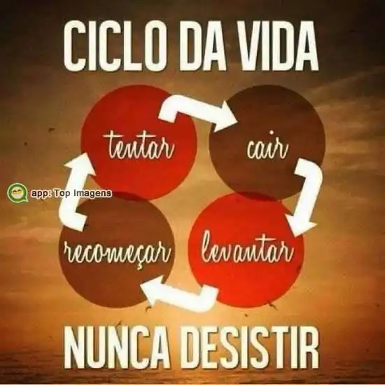 Ciclo da vida