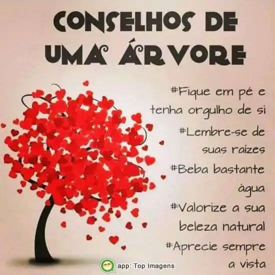 Conselhos de uma árvore