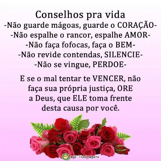 Conselhos pra vida