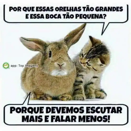 Escutar mais e falar menos