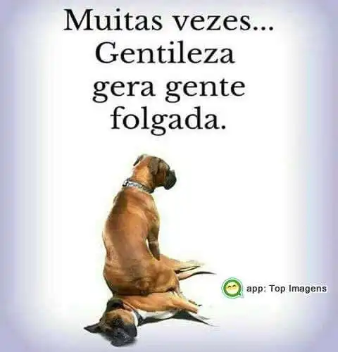 Excesso de gentileza