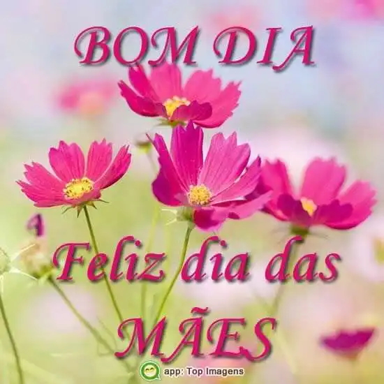Feliz dia das mães