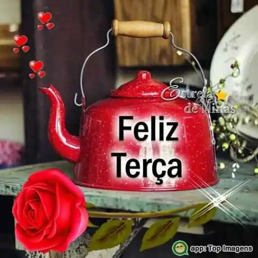 Feliz terça-feira