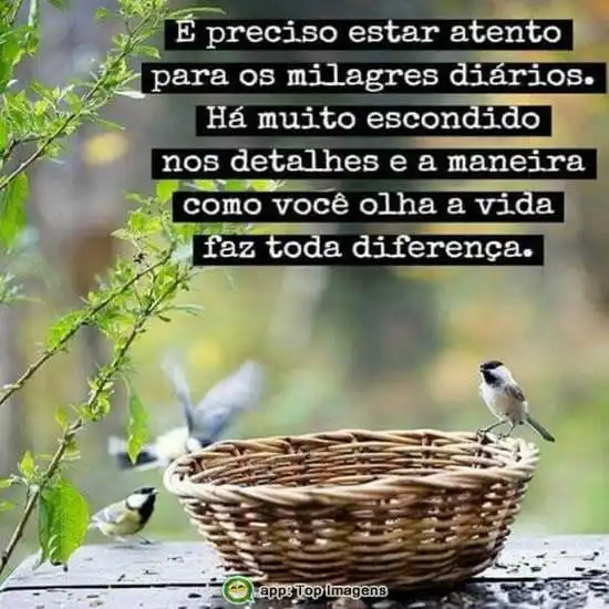 Maneira como olha a vida