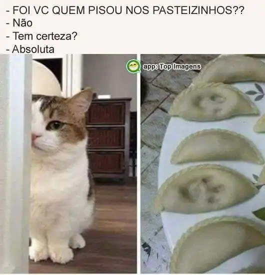 Pegada de gato