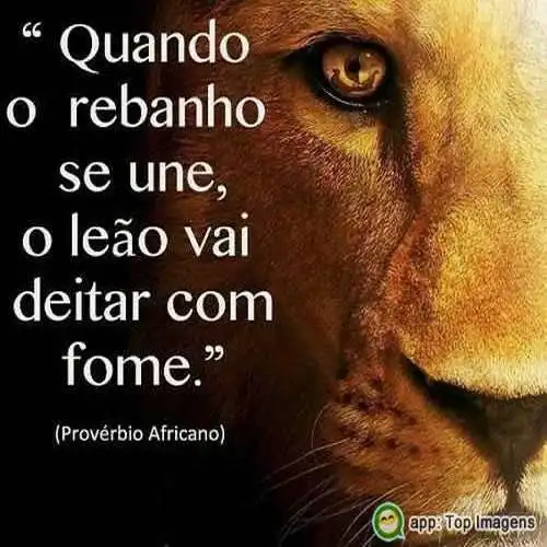 Provérbio africano