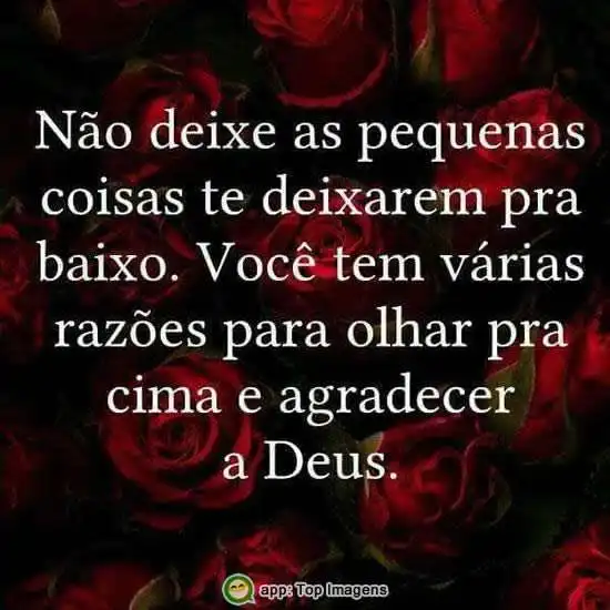 Razões para agradecer