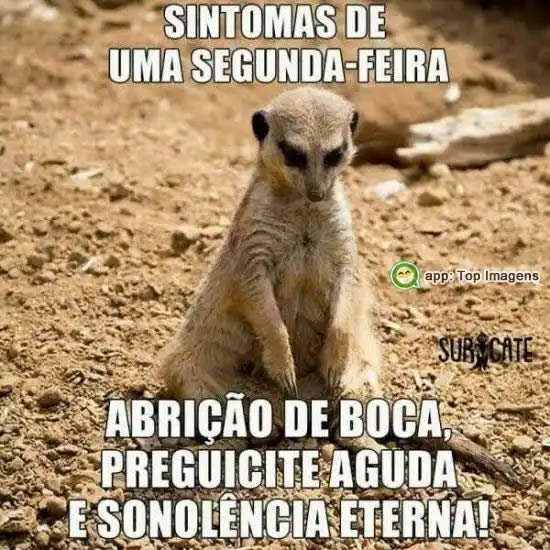 Sintomas de segunda-feira