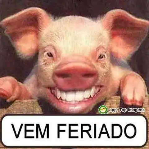 Vem feriado