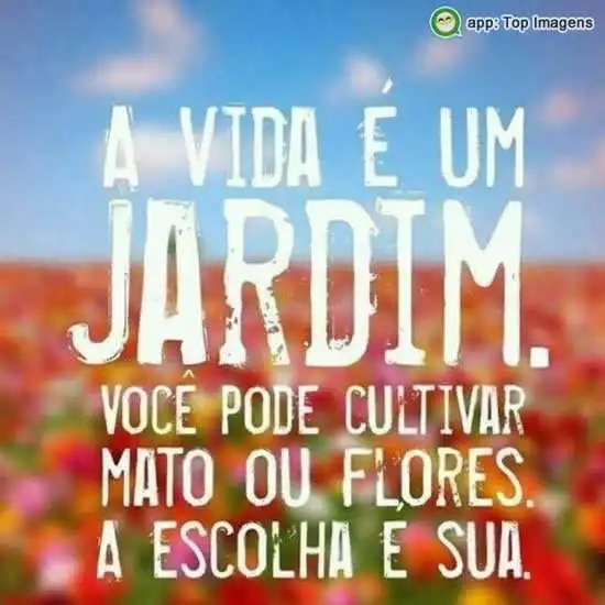 A vida é um jardim