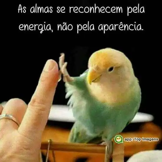 As almas se reconhecem