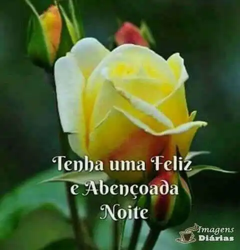 Boa noite