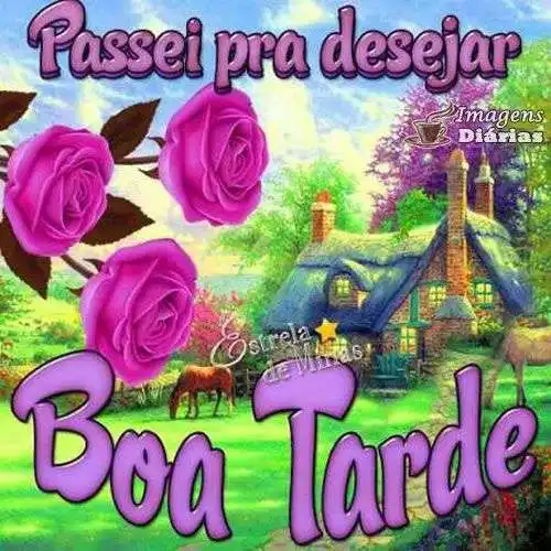 Boa tarde
