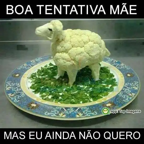 Boa tentativa