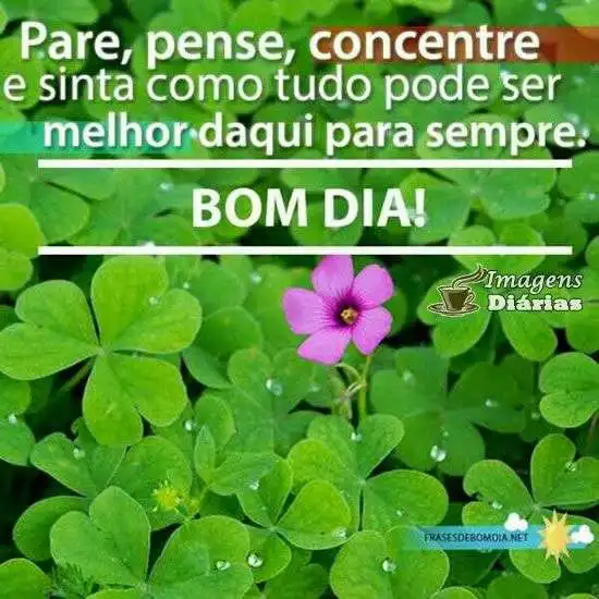 Bom dia
