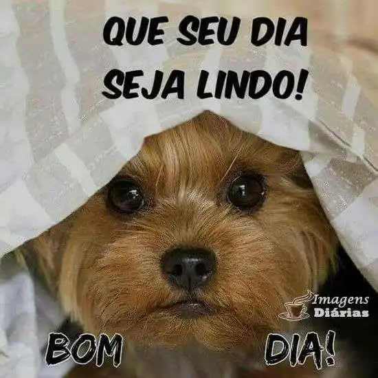Bom dia