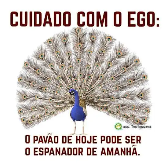 Cuidado com o ego