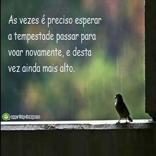Esperar a tempestade passar
