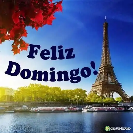 Feliz Domingo