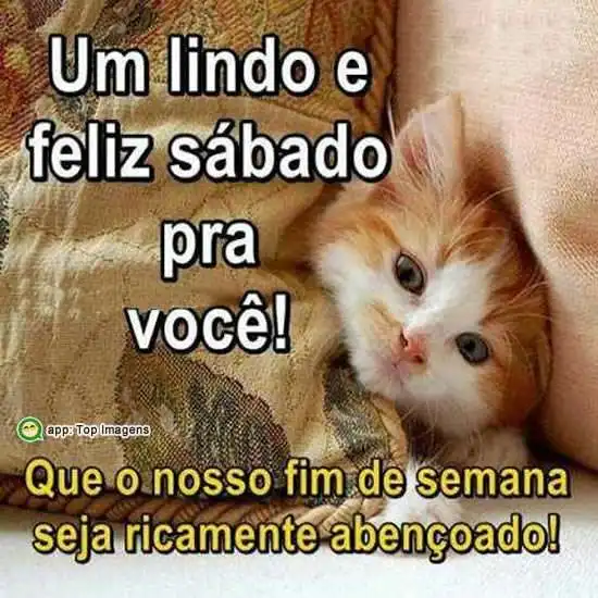 Feliz sábado