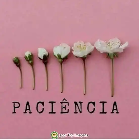 Paciência