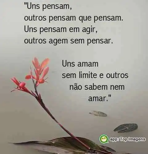 Pensar e amar