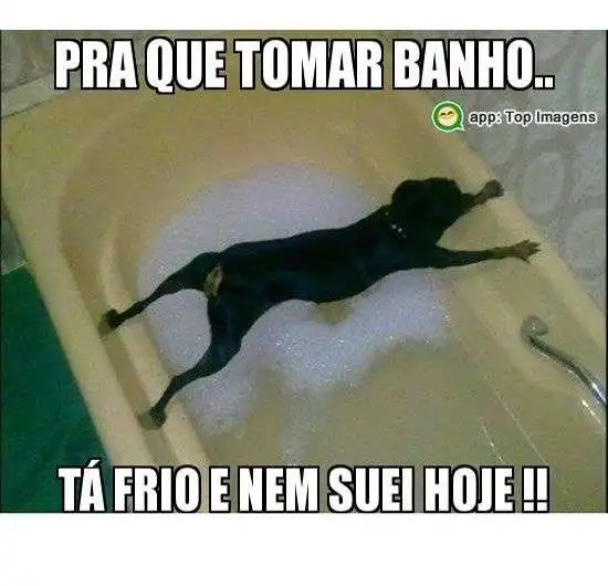 Pra que tomar banho