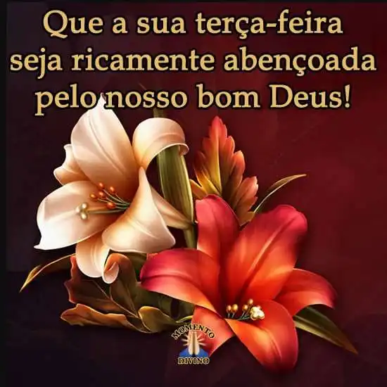 Terça-feira abençoada