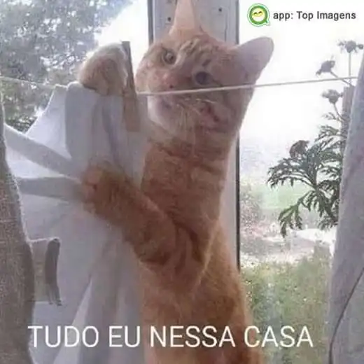 Tudo eu nessa casa