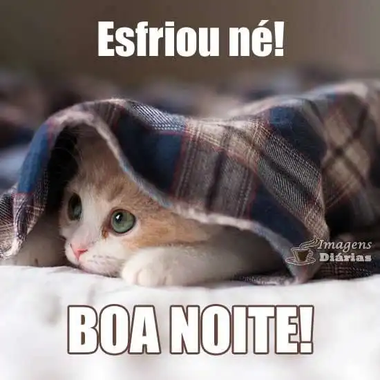 Boa noite