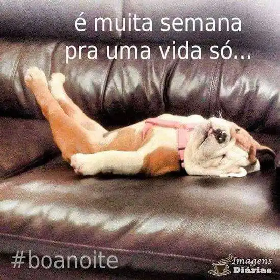 Boa noite
