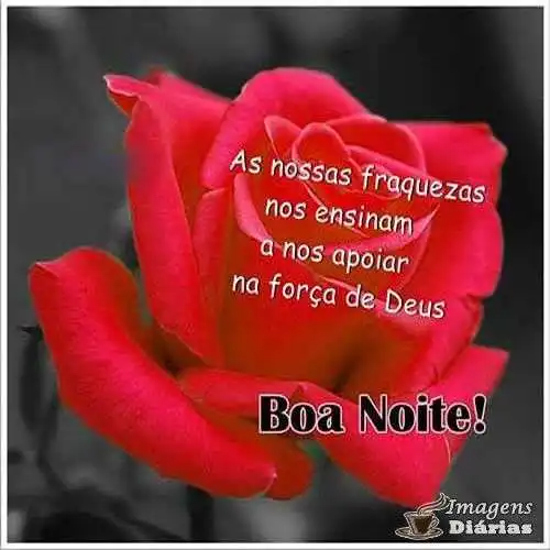 Boa noite