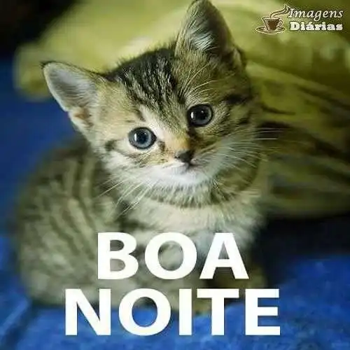 Boa noite
