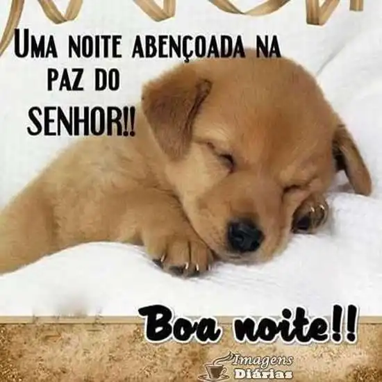 Boa noite