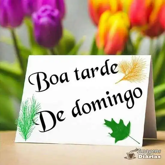 Boa tarde de domingo