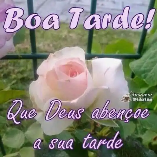 Boa tarde