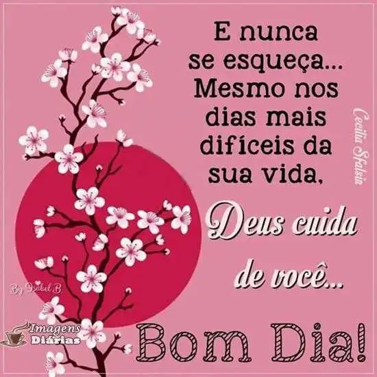 Bom dia - Imagens Diárias - 13562 Bom dia - Imagens Diárias - 13562