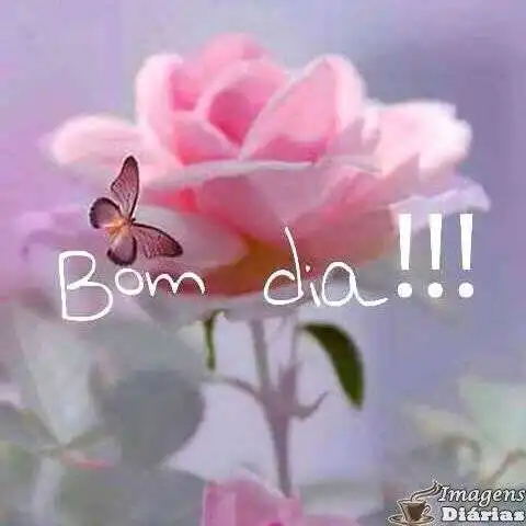Bom dia