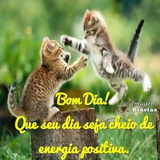 Bom dia