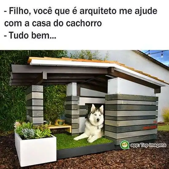 Casa do cachorro