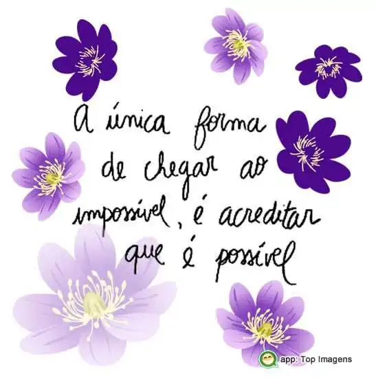 Chegar ao impossível