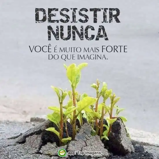 Desistir nunca